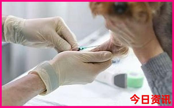 自驾游用什么软件规划路线